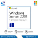 Microsoft Windows Server CAL 2019 English MLP 5 User CAL (R18-05657)