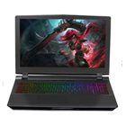 Laptop Gaming