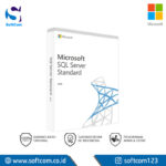 Microsoft SQL Server Standard Edition 2019 English DVD 10 Clt (228-11548)