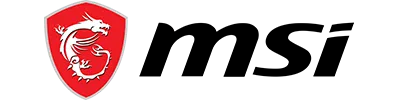 MSI
